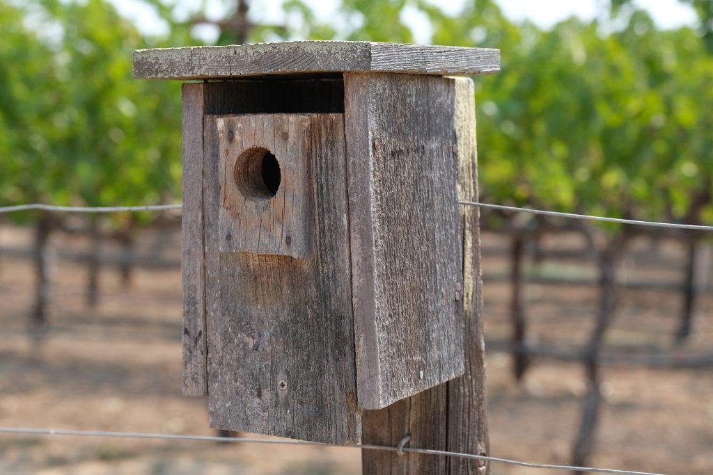 A simple weathered wooden birdhouse is attached to a fence post. It has a round entrance and a slot under the roof for air. Beyond the fence in soft focus, is a vineyard.