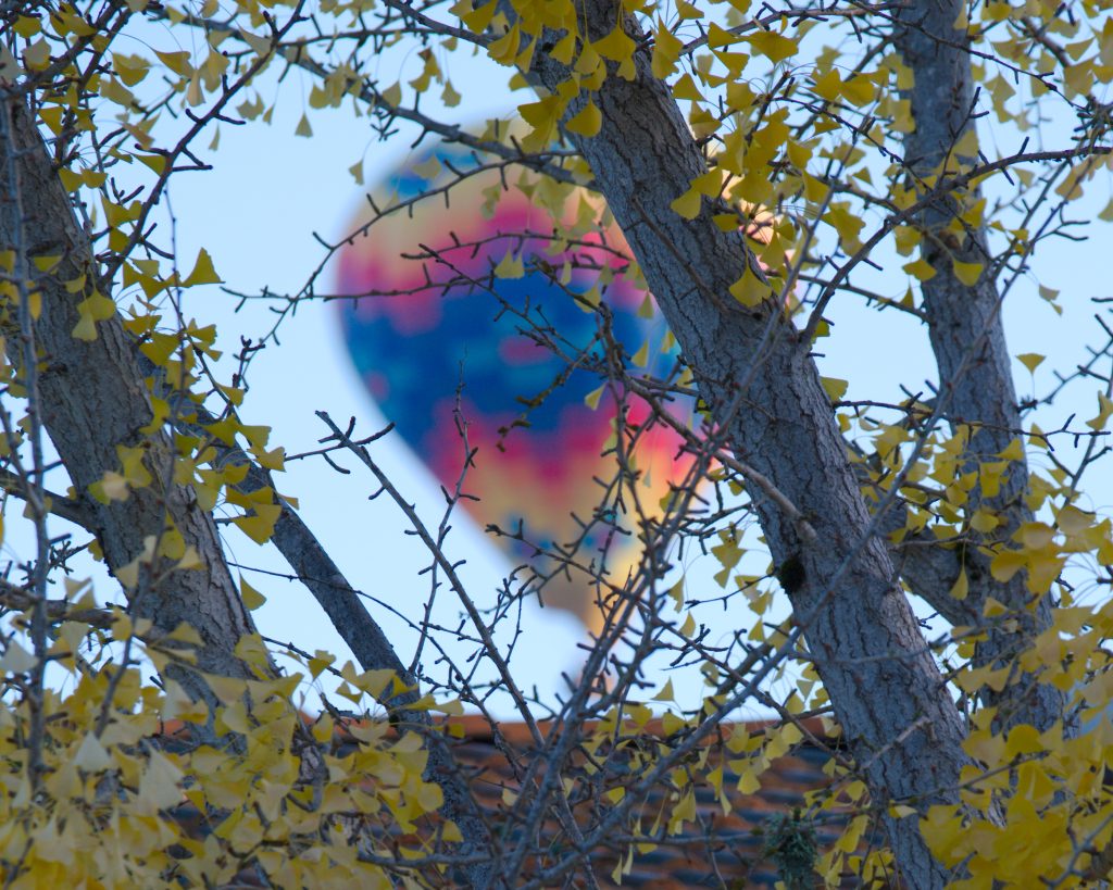 The upper part of a tile roof is visible below, while grey tree trunks and branches with yellow leaves partially obscure the view of a softly blurred colorful hot air balloon.