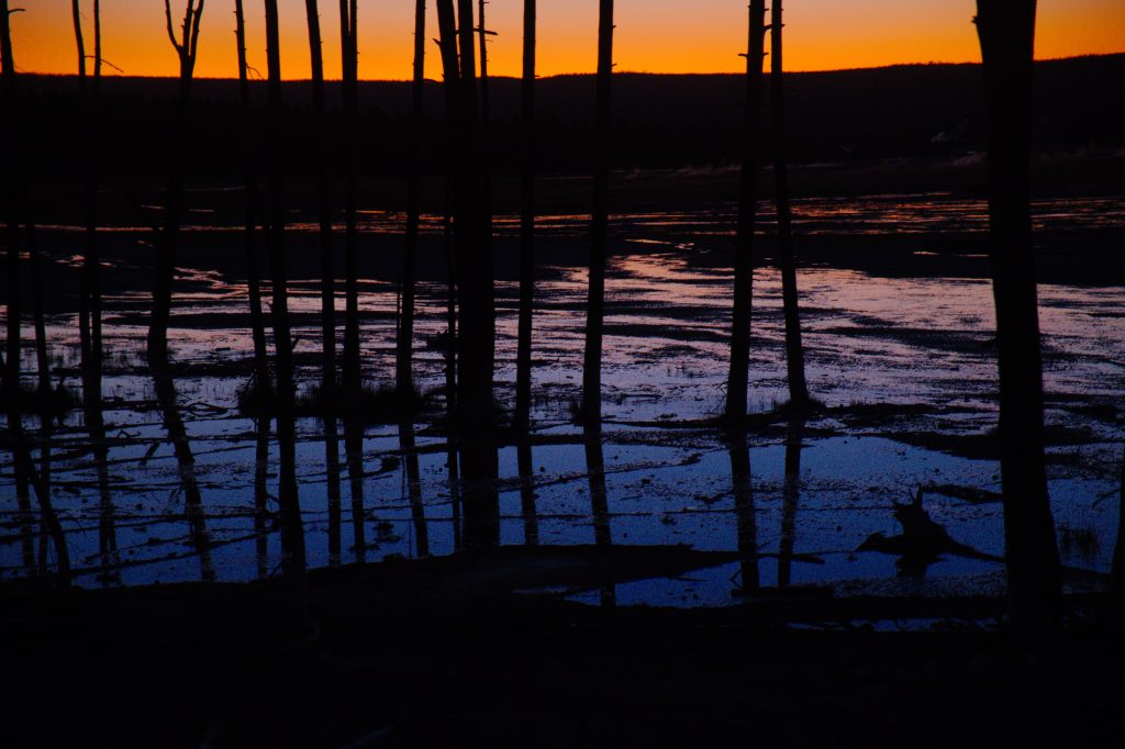 Seventeen bare tree trunks stand in a pond. The sun has set. The shy behind the far hills is orange, while the water reflects a range of color from orange to blue.